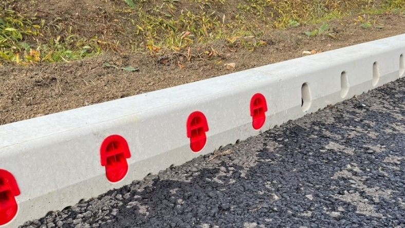 From Concrete to Reeds, Flood Control Takes a Turn