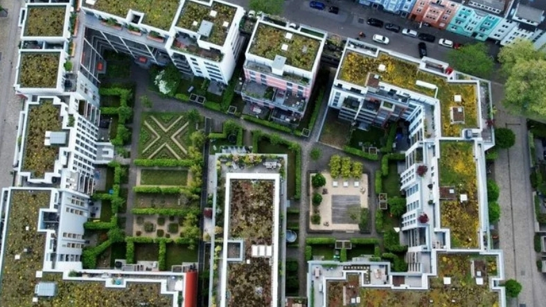 Why Europe’s Cities Are Racing to Redesign Rain